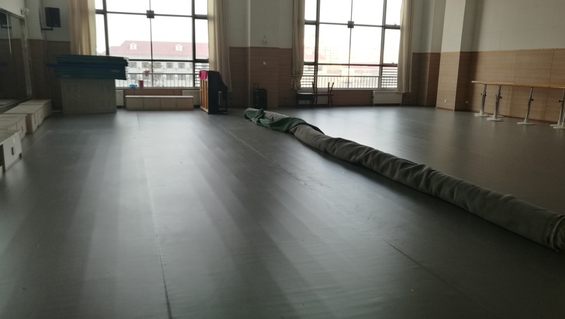 北京戏曲艺术职业学院5001进口灰小丑地胶案例4